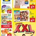 lidl 4 a 10 janeiro